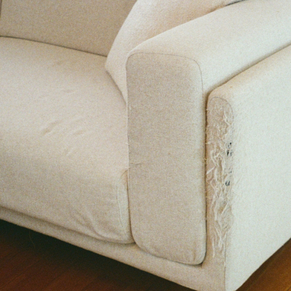 ▲펀치넬로(사진 = AOMG 제공)