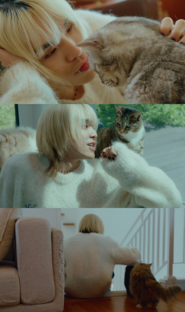 ▲펀치넬로(사진 = AOMG 제공)