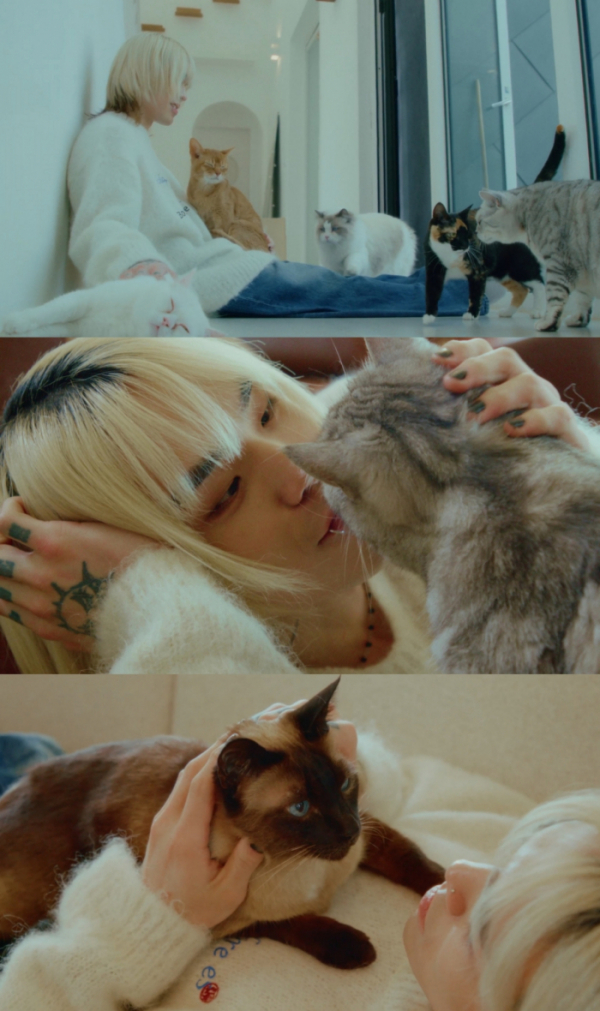 ▲펀치넬로(사진 = AOMG 제공)