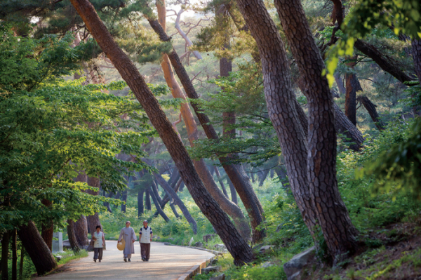 ▲한국불교문화사업단 제공