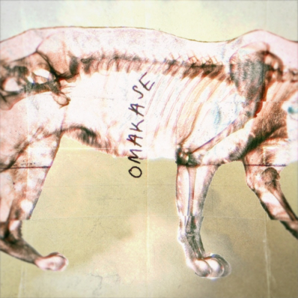 ▲다이브(Dive)(사진 = 더다이얼뮤직)