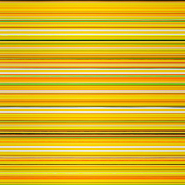 ▲양파 (사진 = 밀크앤허니 제공)