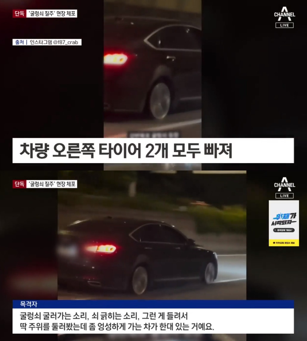 (출처=채널A 뉴스 캡처)