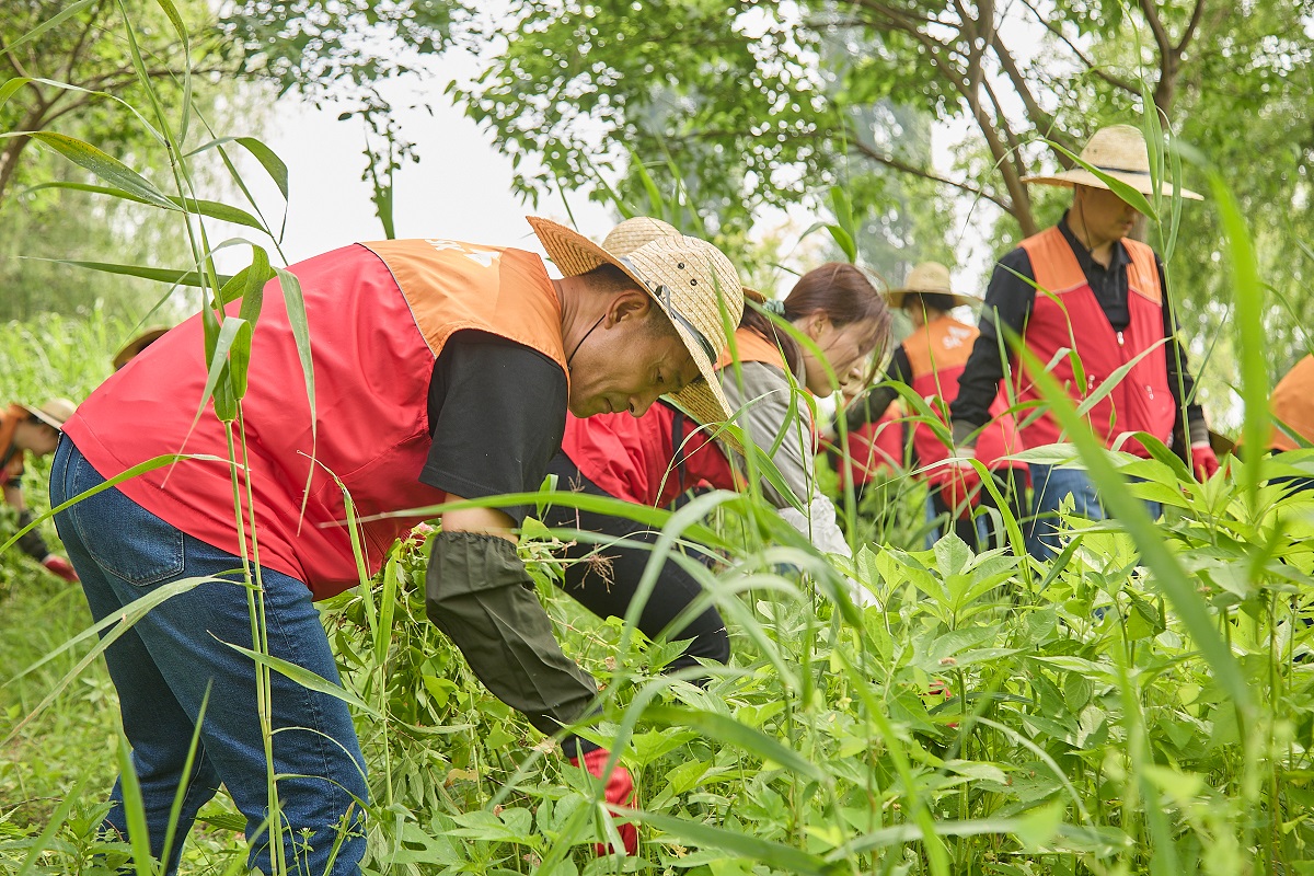 ▲김원기 SK엔무브 사장이 구성원들과 서울 용산구 이촌한강공원에서 생태교란식물 제거에 함께하고 있다. (사진제공=SK이노베이션)