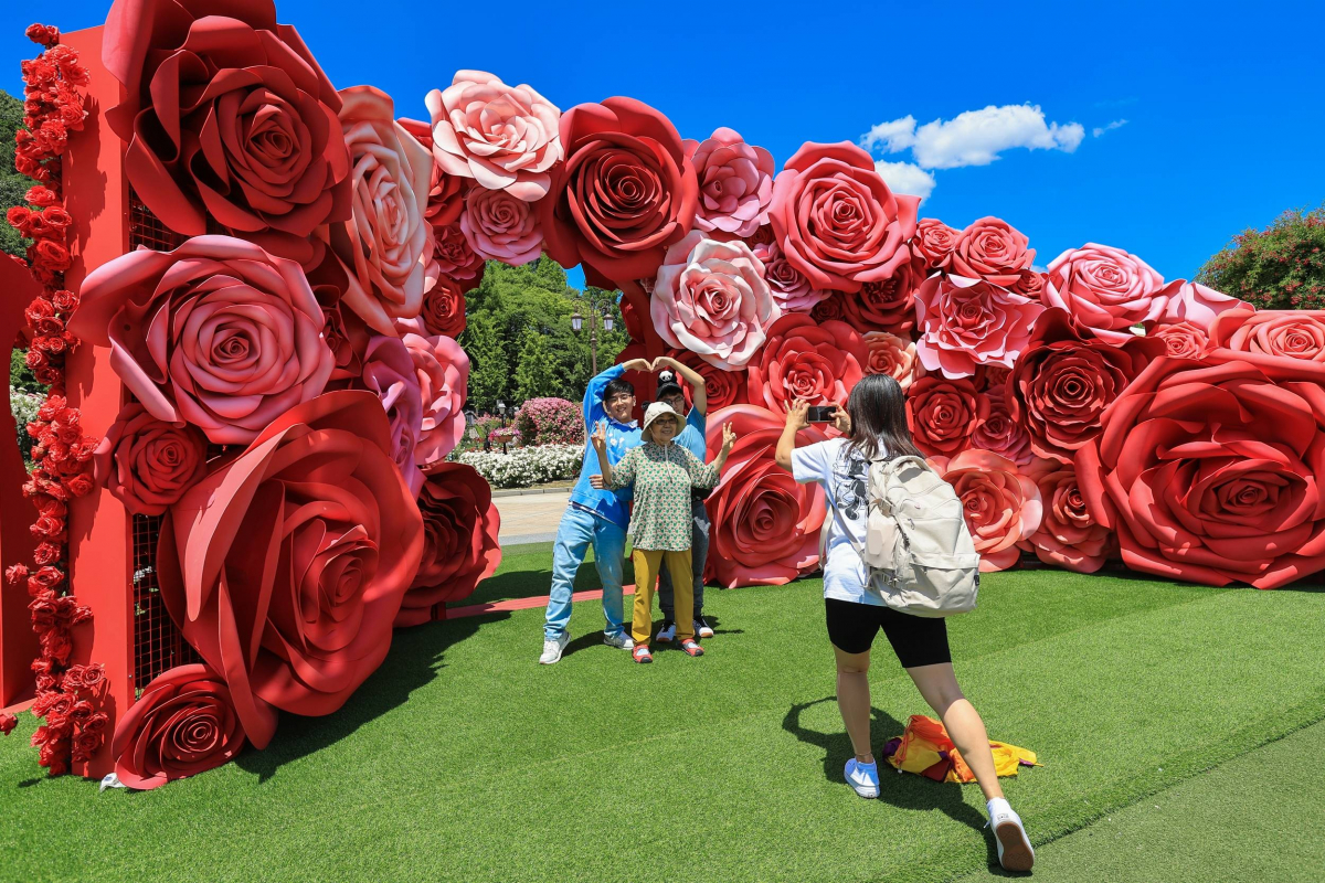 ▲4일 에버랜드 장미축제를 찾은 방문객들이 올해 장미원 중앙에 새롭게 선보인 장미 시그니처 포토스팟에서 기념 사진을 남기고 있다. (사진제공=삼성물산 리조트부문)