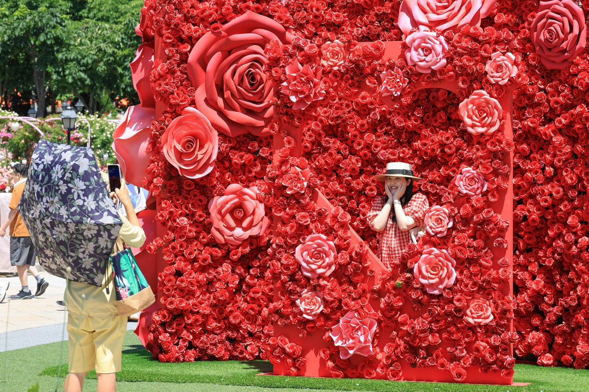 ▲4일 에버랜드 장미축제를 찾은 방문객들이 올해 장미원 중앙에 새롭게 선보인 장미 시그니처 포토스팟에서 즐거운 시간을 보내고 있다. (사진제공=삼성물산 리조트부문)
