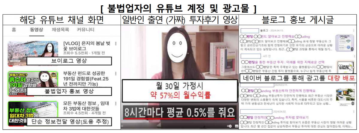 (자료제공=금감원)