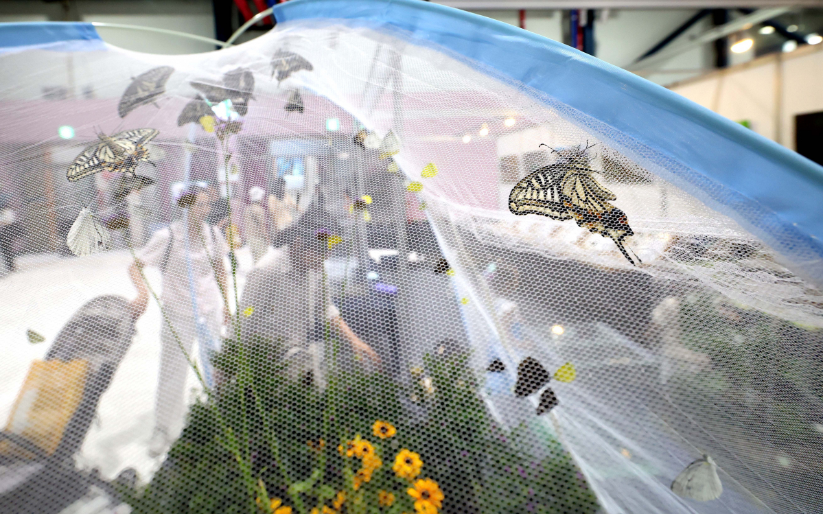 ▲7일 서울 강남구 세텍에서 열린 ‘제8회 대한민국 곤충경진대회’에서 참관객들이 전시장을 둘러보고 있다. 신태현 기자 holjjak@