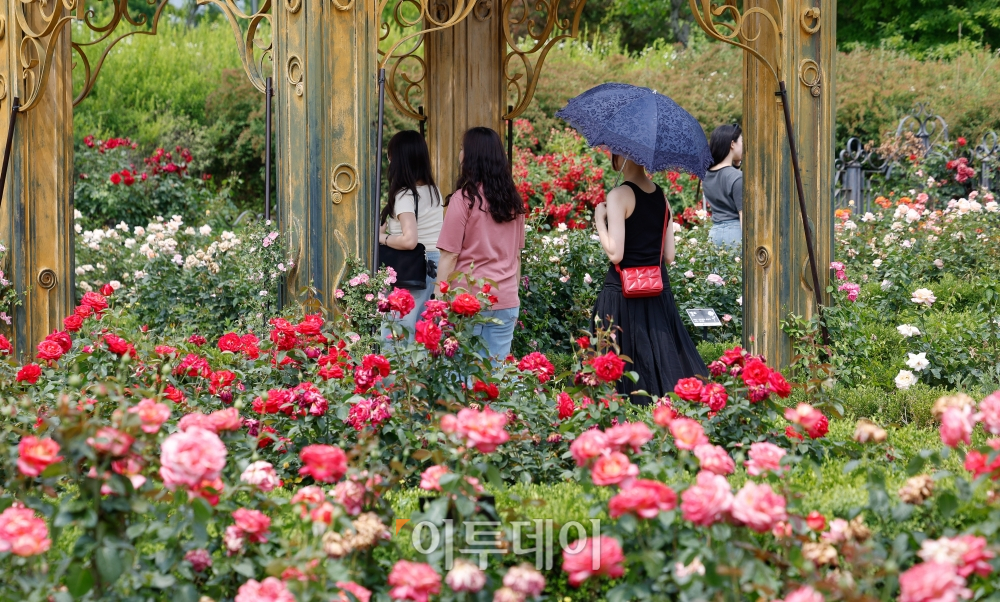 ▲전국 대부분 지역이 낮 최고기온 30도까지 오르는 등 초여름 날씨를 보이면서 대전 서구 한밭수목원에서 양산을 쓴 시민들이 발걸음을 옮기고 있다. 조현호 기자 hyunho@