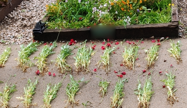 (사진제공=노원구청)