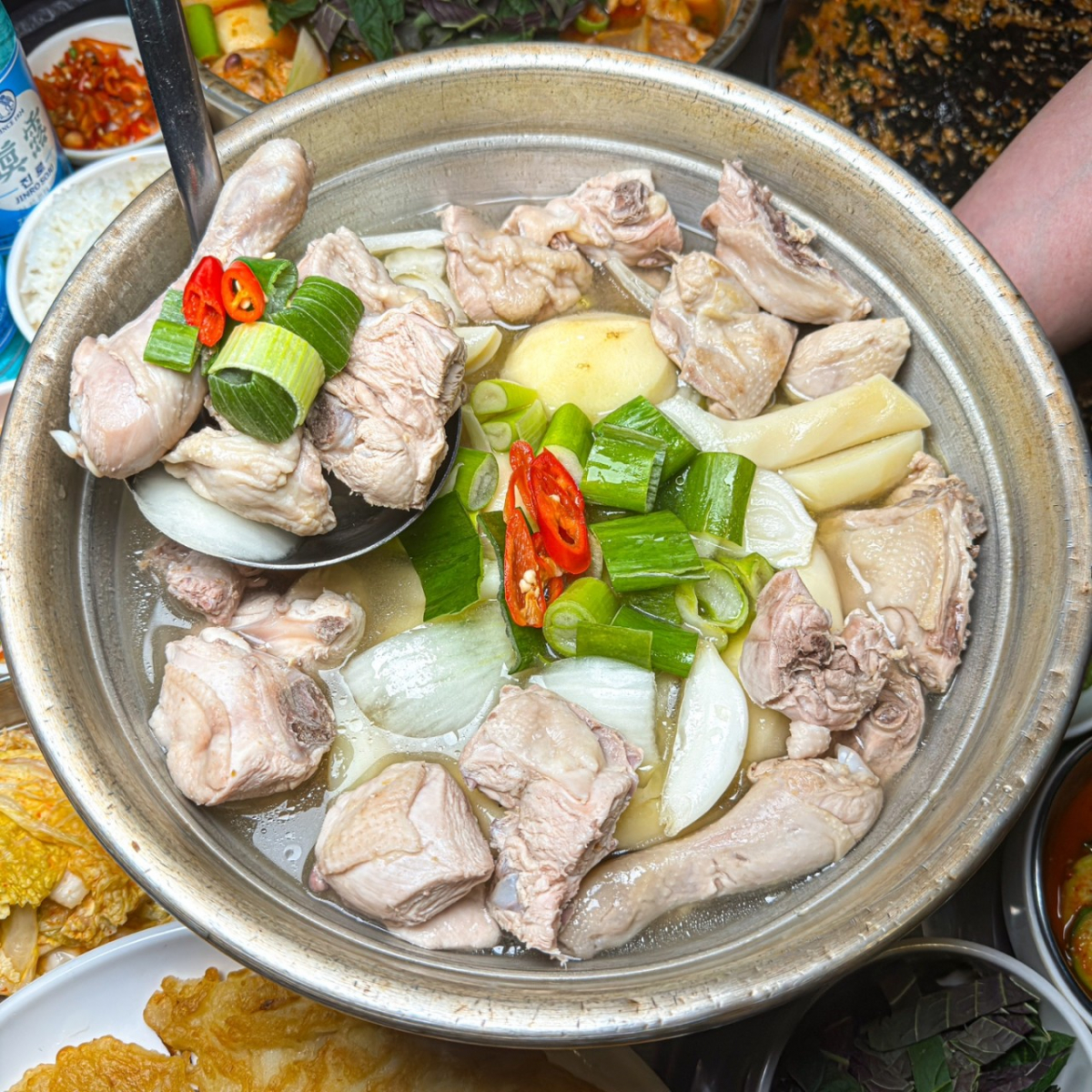 (출처=네이버플레이스 '다원닭한마리 빈대떡')