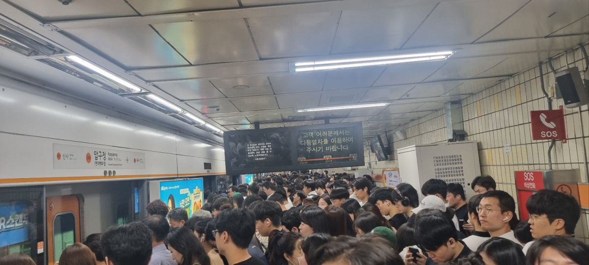 (사진제공=독자제공)