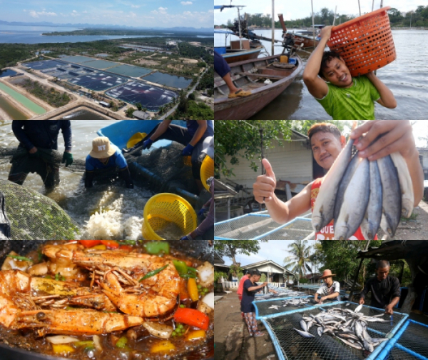 ▲'극한직업'(사진제공=EBS1)