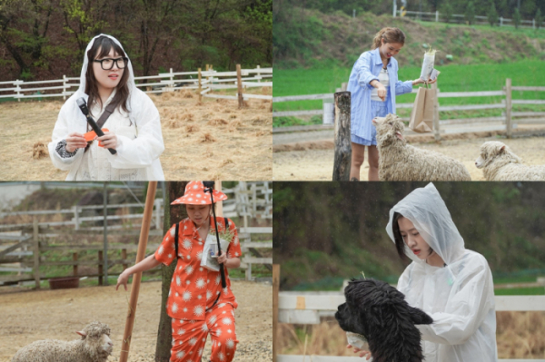 ▲'지락이의 뛰뛰빵빵' 3회(사진제공=tvN)