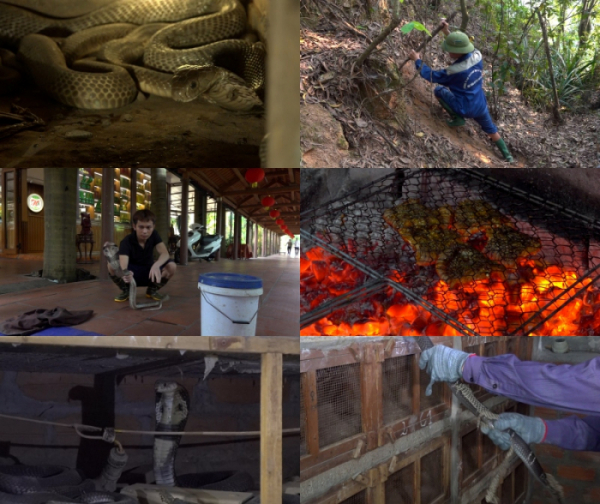 ▲'극한직업' (사진제공=EBS1)