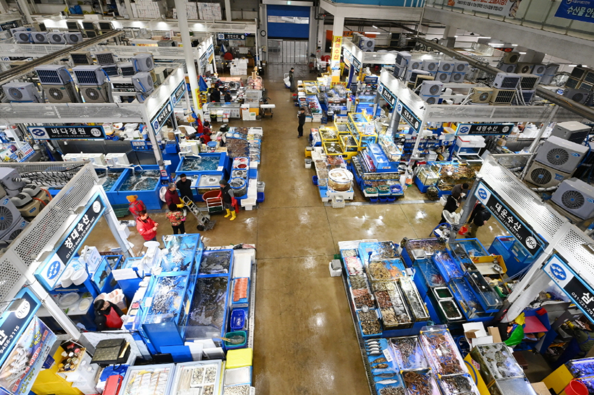 ▲수원시 농수산물도매시장 수산동 전경. (수원특례시)