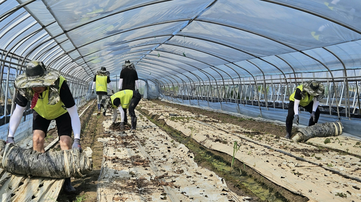 (사진제공=NH농협카드)