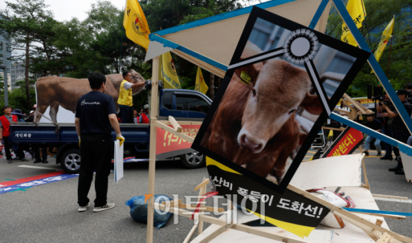 ▲3일 서울 영등포구 국회의사당역 앞에서 열린 전국한우협회 전국 한우농가 한우 산업 안정화 촉구 한우 반납 투쟁에 축사 모형이 부서져 있다. 조현호 기자 hyunho@