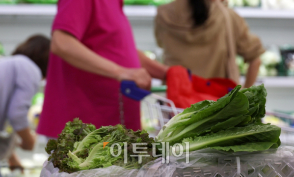 ▲장마철로 접어들면서 채소 가격이 상승한 가운데 7일 서울의 한 대형마트에서 시민들이 장을 보고 있다. 한국농수산식품유통공사(aT) 농산물유통정보에 따르면 지난 5일 적상추 소매가격은 100g에 1178원으로 일주일 만에 17.3% 올랐다. 쌈배추(알배기배추)는 한 포기에 3032원으로 일주일 만에 26.0%, 깻잎 가격은 100g에 2087원으로 일주일 새 2.2%, 시금치 소매가격은 100g에 1276원으로 일주일 만에 30.1% 올랐다. 고이란 기자 photoeran@ (이투데이DB)