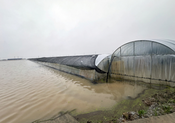 ▲10일 내린 폭우로 전북 익산시 용안면 한 시설하우스가 물에 잠겨 있다. 이 일대는 지난해 집중호우 때도 침수 피해를 봤다. 사진은 해당 기사와 무관. (연합뉴스)