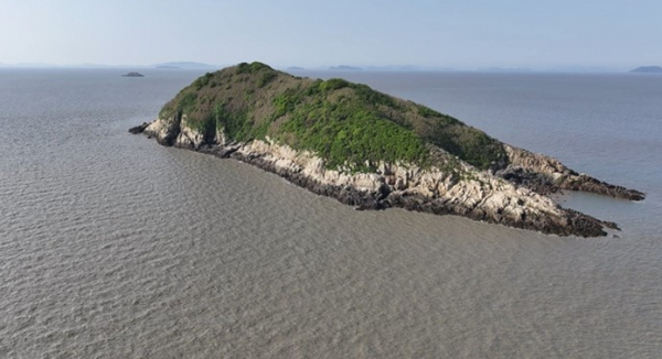 ▲'TV동물농장'(사진제공=SBS )