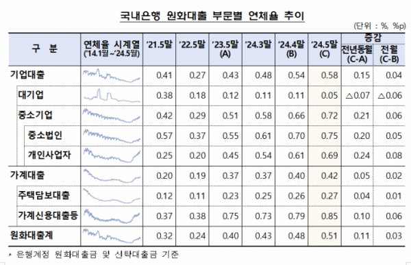 (자료제공=금감원)