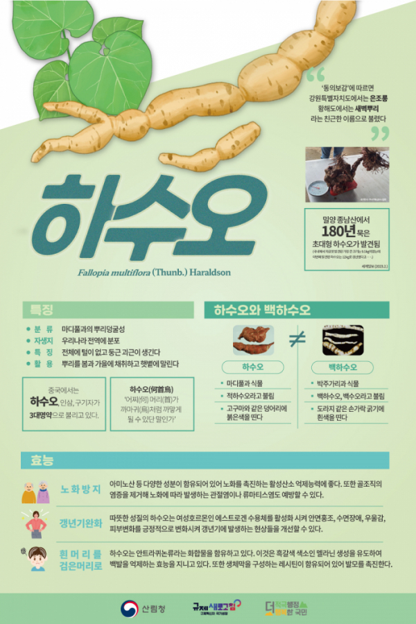 (사진제공=산림청)