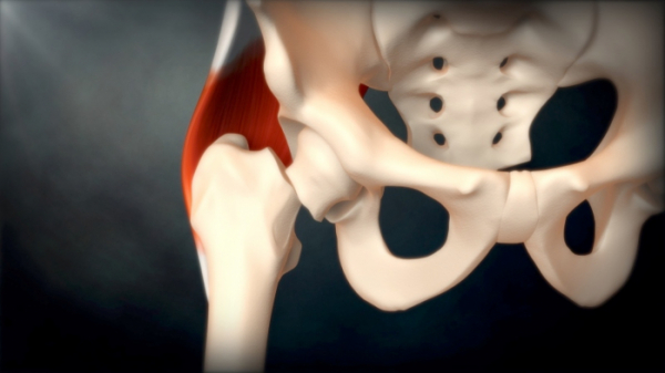 ▲'명의' 뼈건강(사진제공=EBS1)