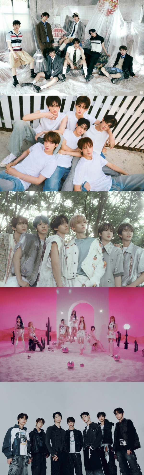 (사진제공=각 소속사)