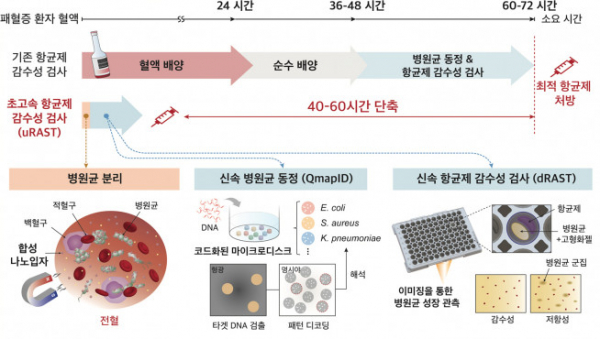 ▲초고속 항균제 감수성 검사(uRAST) 진행 순서 (사진제공=서울대병원)