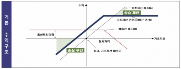 (출처=금융감독원)