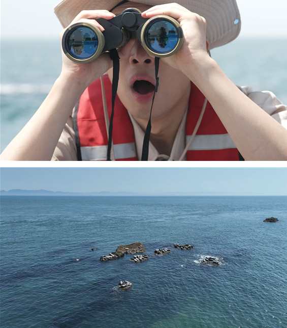 ▲'TV동물농장' (사진제공=SBS )