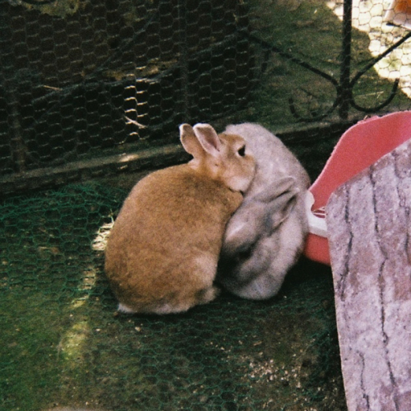 ▲크래커(사진 = EGO Group 제공)