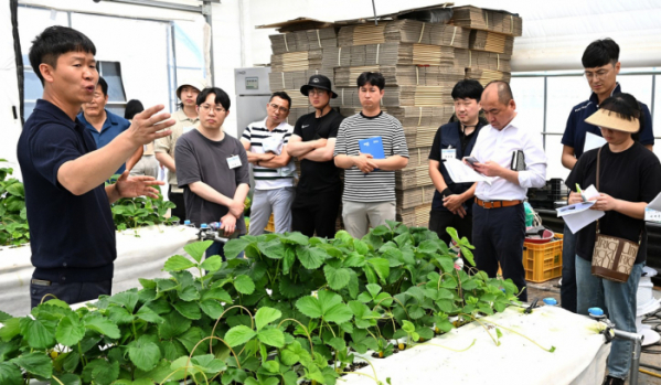 ▲충북 농업기술원의 스마트팜 선진지 견학 프로그램에 참가한 청년농업인과 귀농인들이 진천의 한 딸기 농장을 둘러보고 있다. (뉴시스)