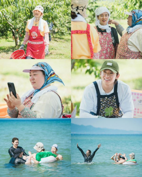 ▲'언니네 산지직송' 영덕 복숭아(사진제공=tvN)