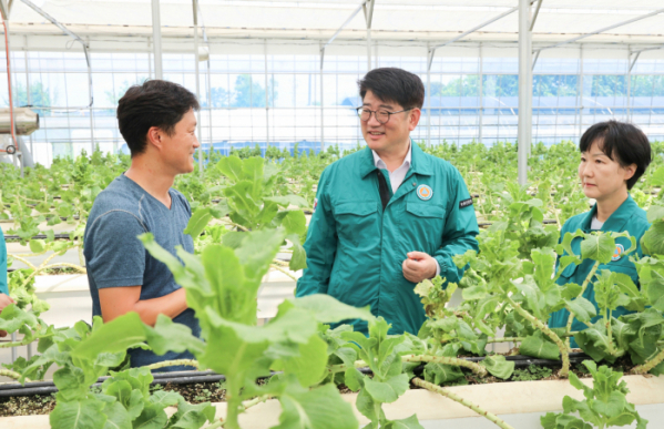 ▲권재한 농촌진흥청장(가운데)이 6일 김영 충남도농업기술원장(오른쪽)과 함께 충남 논산의 한 상추 수경재배 농가를 찾아 재배 현장을 살펴보고 있다.  (사진제공=농촌진흥청)