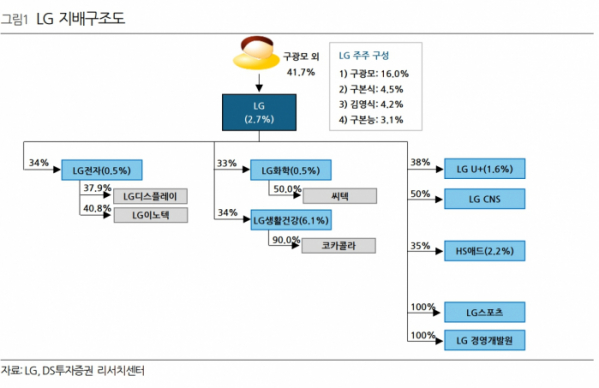 (출처=DS투자증권)