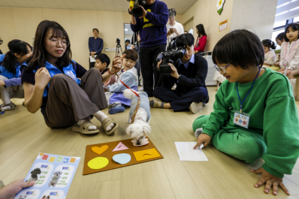 ▲2일 서울 구로구 서울시의 첫 번째 지역연계형 늘봄학교인 서울시 거점 4호 키움센터에서 서울매봉초등학교와 서울오류남초등학교 학생들이 반려동물 교감 프로그램에 참여하고 있다. 2024.05.02. (뉴시스)