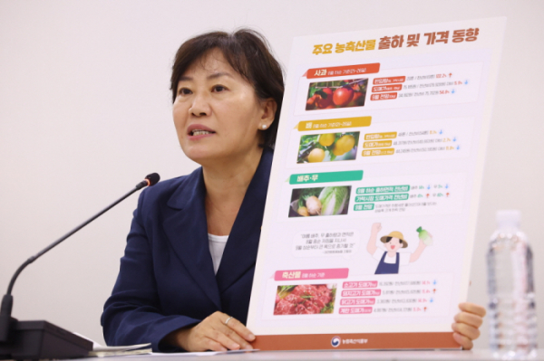 ▲송미령 농축산식품부 장관이 28일 정부세종청사에서 열린 출입기자단 간담회에서 주요 농축산물의 가격 동향에 대해 설명하고 있다. (사진제공=농림축산식품부)