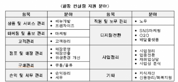 ▲서울시의 끝장 컨설팅 지원 분야. (자료제공=서울시)