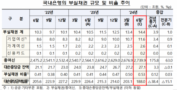 (자료제공=금감원)