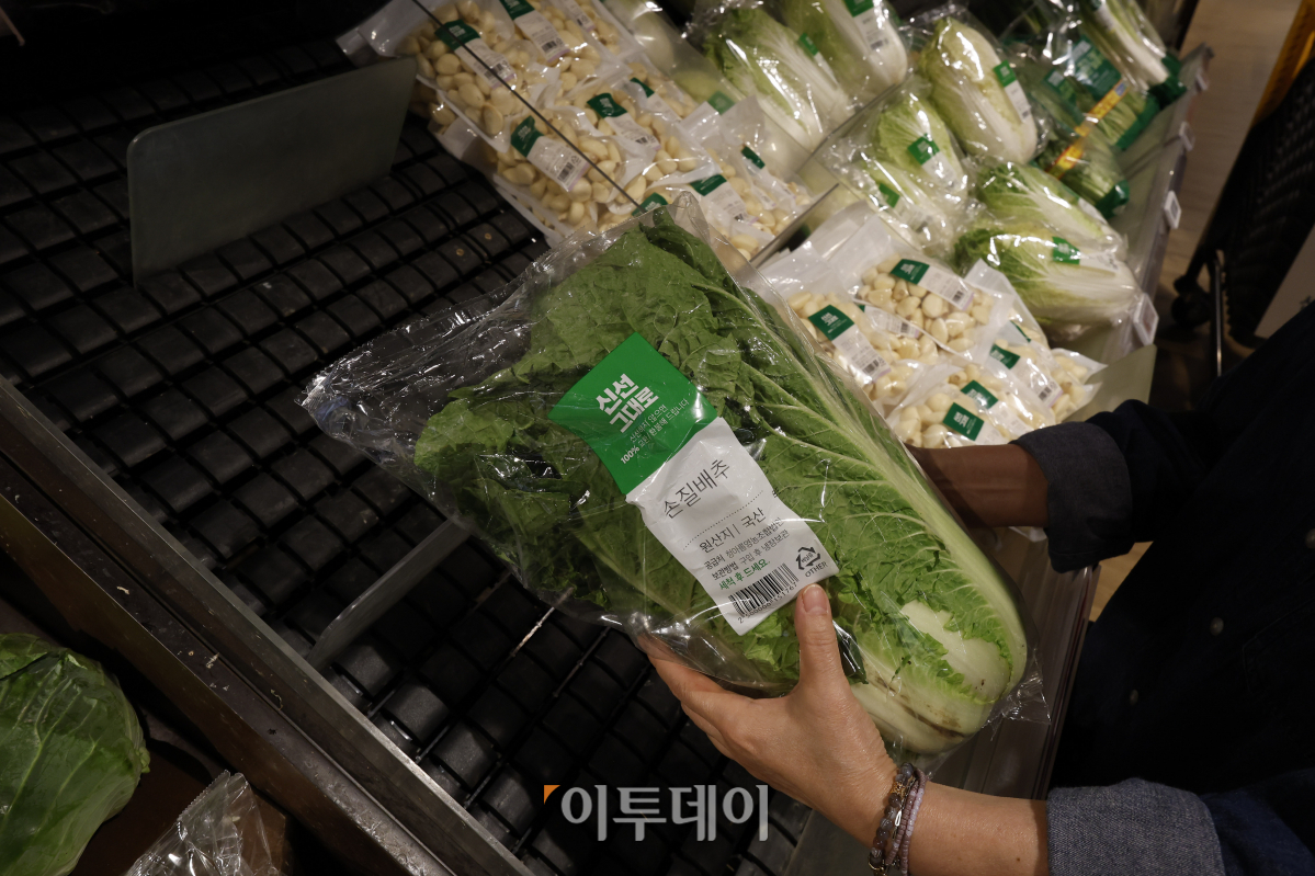 ▲24일 서울 시내 한 대형마트를 찾은 시민들이 배추를 살펴보고 있다. 한국은행이 발표한 8월 생산자물가지수에 따르면 폭염 등 이상 기온 등 영향으로 농·축산물 가격이 급등했다. 품목별로는 배추(73.0%)와 시금치(124.4%)가 급등했다. 조현호 기자 hyunho@