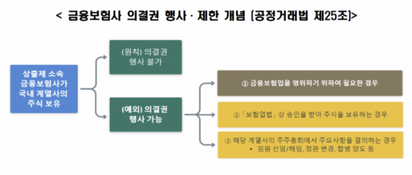 ▲한국경제인협회가 홍대식 서강대 법학전문대학원 교수에게 의뢰한 ‘금산분리 규제로서 공정거래법상 금융·보험회사 의결권 제한 규제 검토’ 보고서. (출처=한국경제인협회)