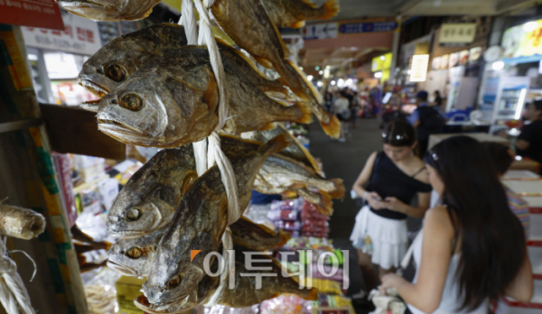 ▲추석 연휴를 앞두고 조기, 김 등 주요 수산물 가격이 오름세를 보이고 있다. 5일 한국농수산식품유통공사(aT)에 따르면 참조기(냉동) 1마리 소매 가격은 전날 기준 1754원으로 작년 동기보다 30.1% 높다. 굴비는 1마리 2763원으로 작년 동기와 평년보다 37.1% 비싸다. 이날 서울 시내 한 전통시장에 굴비가 진열되어 있다. 조현호 기자 hyunho@