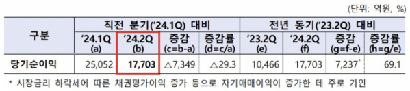 (출처=금융감독원)