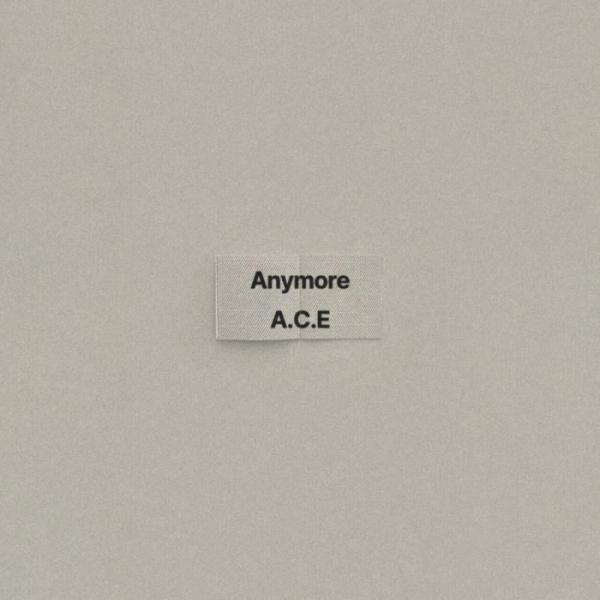 ▲에이스 (사진 = 비트인터렉티브 제공)