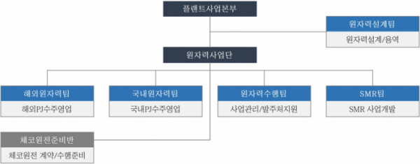 ▲대우건설 플랜트사업본부 원자력 조직도. (자료제공=대우건설)