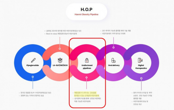 ▲‘H.O.P(Hanmi Obesity Pipeline)’ 프로젝트 (사진제공=한미약품)