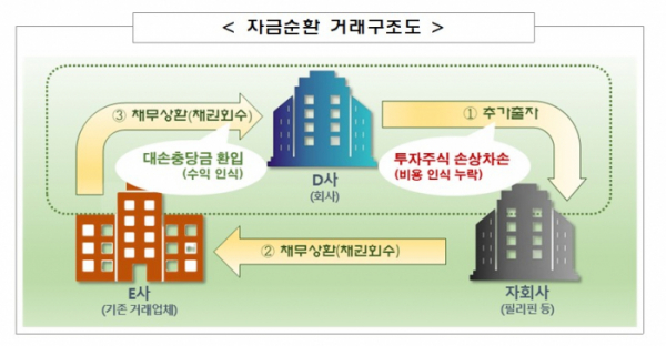 (출처=금융감독원)