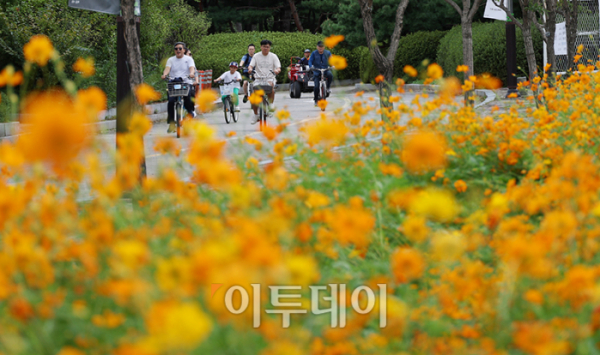 ▲낮과 밤의 길이가 같아지는 절기상 '추분(秋分)'인 22일 경기도 고양 일산호수공원에서 활짝 핀 코스모스 사이로 시민들이 주말 나들이를 즐기고 있다. 기상청은 전국이 대체로 맑고 일교차가 큰 평년과 비슷한 가을 날씨가 본격적으로 시작될 것으로 예보했다. 고이란 기자 photoeran@